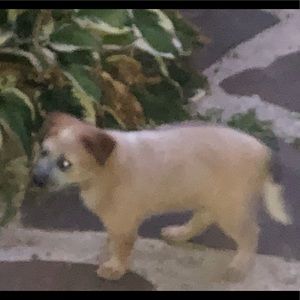 Meet your Posher, Regina